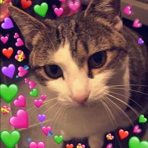 Meet your Posher, Sam